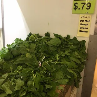 Turnip Greens