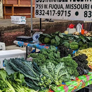 a variety of vegetables