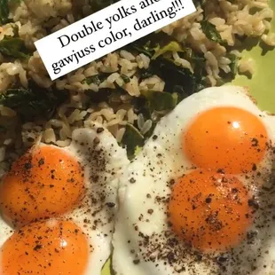 2 sunny side up eggs with beautiful double yolks from Gama Farms