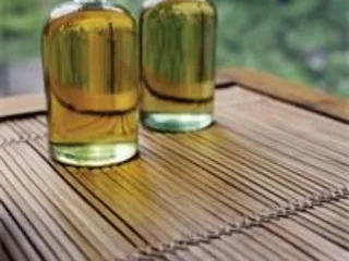 Wisdom of Life Therapies