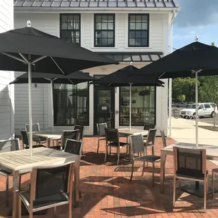 Room For Your Dog too!