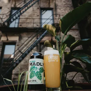 Love You Madly Hazy IPA
