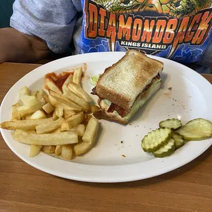 BLT and the fries were so hot and crisp.
