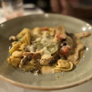 a plate of pasta with mushrooms and cheese