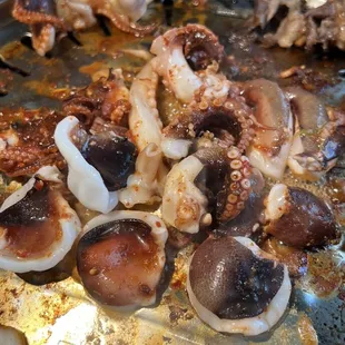 Spicy Octupus