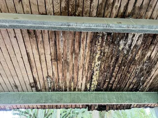 Lonnie C Miller Park