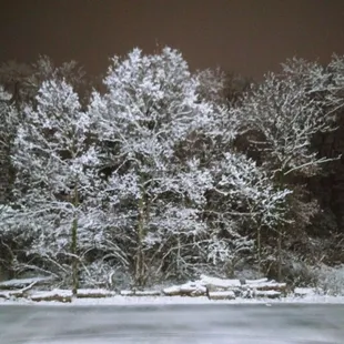a frozen lake with trees in the background