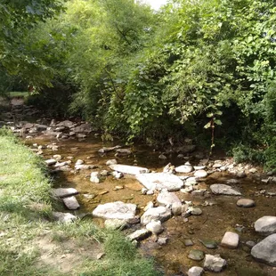 Creek in natural play area.