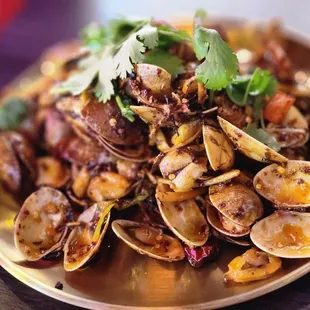 shellfish, mussels, oysters and mussels, food, oysters