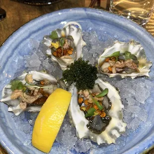 Oysters