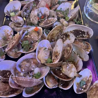 Stimpson Surf Clam