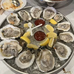 Oysters