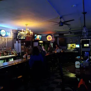 people sitting at the bar