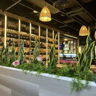 salads, interior