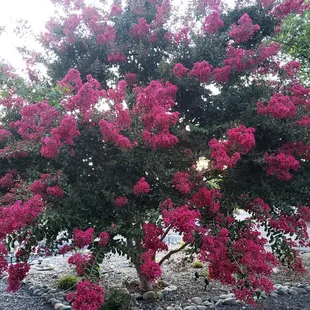 Beautiful little park