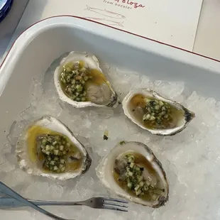 Oysters