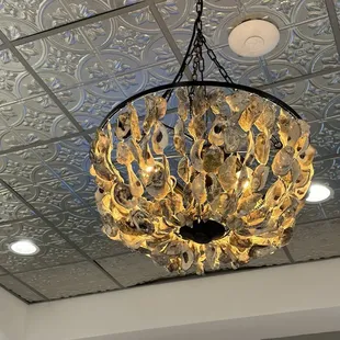Seashell chandelier