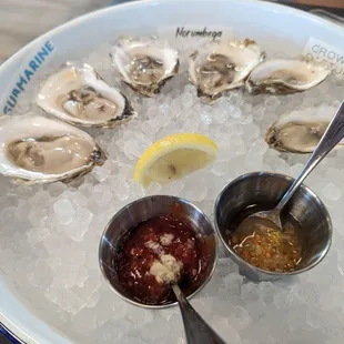 Fresh oysters