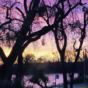 A pinkish purple sunset