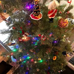 A view from the top of our decorated 12.5 footer