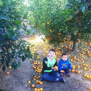 Died and gone to heaven!