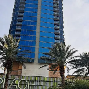 Our service at palms place..