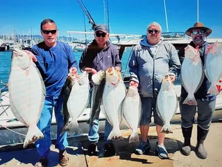 Feeding Frenzy SportFishing