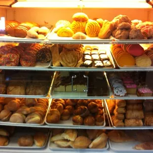 Pan Dulce (Sweet Bread)