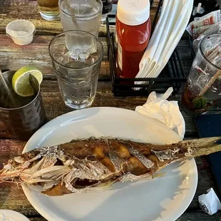 Whole Yellowtail Snapper