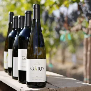 Gard wine