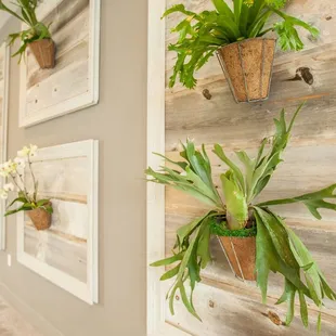 a wall of potted plants