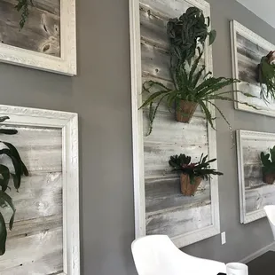 Living plants throughout