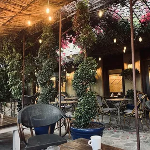 The large outdoor twinkle lights patio, so pretty