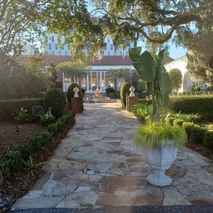 Looking up from the river