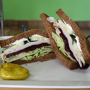 #35 Turkey and Cranberry on Squaw Bread