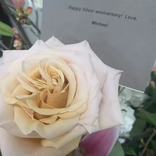 A very special occasion.