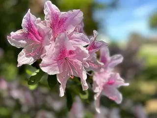 Mo's Art Supply & Framing