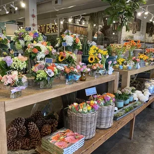 Garden District