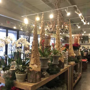 Christmas decorations