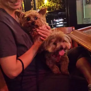 Dogs welcome.