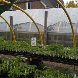 I love that steeple in the background . . .