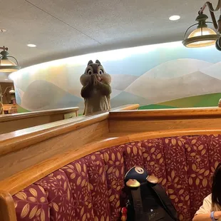 Chip and Dale visiting