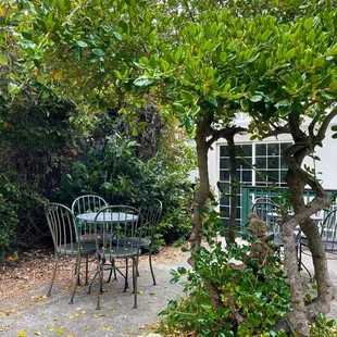 Back patio