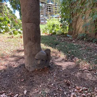 Keeping his wife company