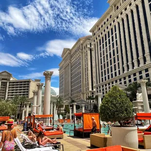 people lounging on lounge chairs