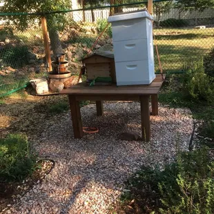 Apiary and local plant garden area