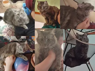 The Wrangler Rv & Boat Storage