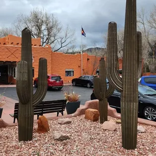 Some cacti sculptures in the parking lot