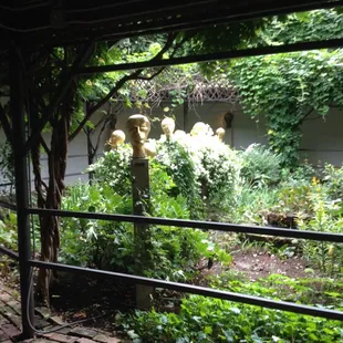 Amazing garden out back