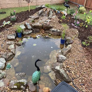 I planted an assortment of plants.  Loving my Japanese Maple.